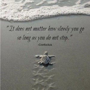 Meet your Posher, Sheila